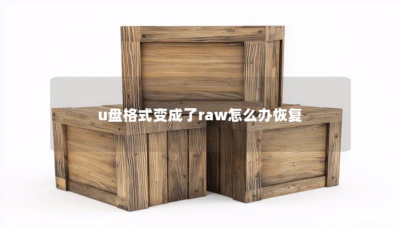 u盘格式变成了raw怎么办恢复