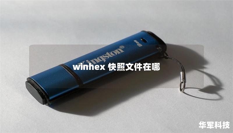 winhex 快照文件在哪