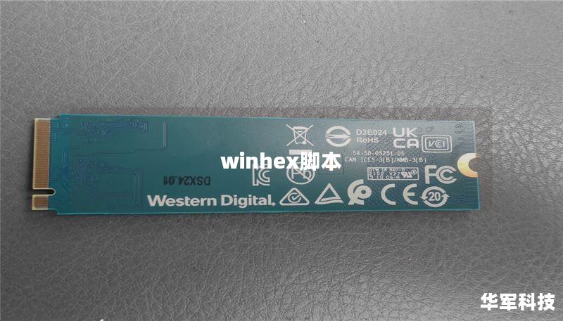 winhex脚本