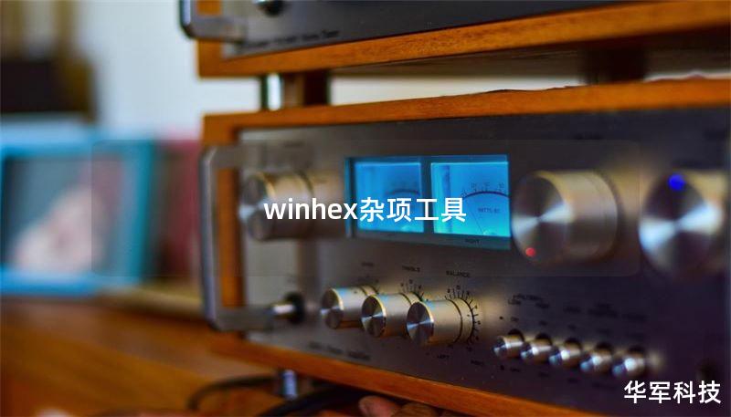 winhex杂项工具