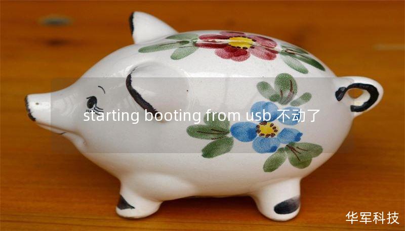 starting booting from usb 不动了