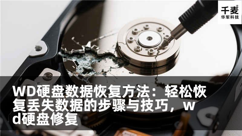 WD硬盘数据恢复方法：轻松恢复丢失数据的步骤与技巧，wd硬盘修复