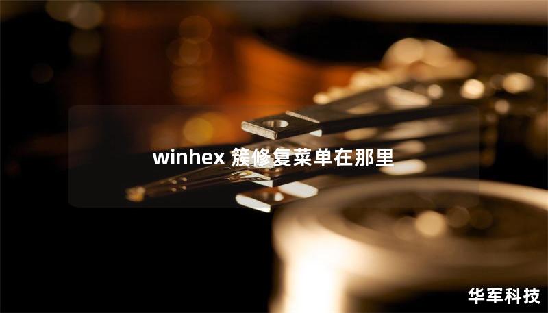 winhex 簇修复菜单在那里