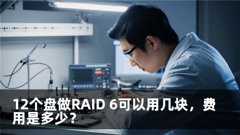 12个盘做RAID 6可以用几块，费用是多少？