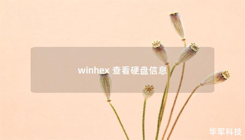winhex 查看硬盘信息
