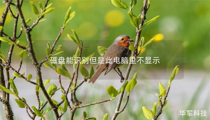 磁盘能识别但是此电脑里不显示
