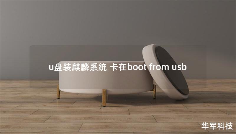u盘装麒麟系统 卡在boot from usb