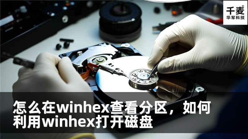 怎么在winhex查看分区，如何利用winhex打开磁盘