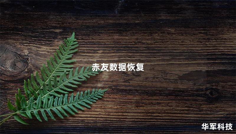 赤友数据恢复