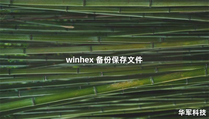 winhex 备份保存文件