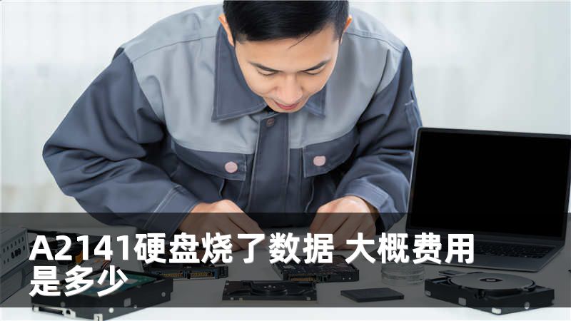 A2141硬盘烧了数据 大概费用是多少
