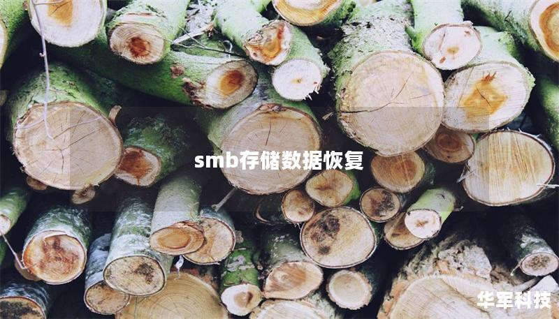smb存储数据恢复