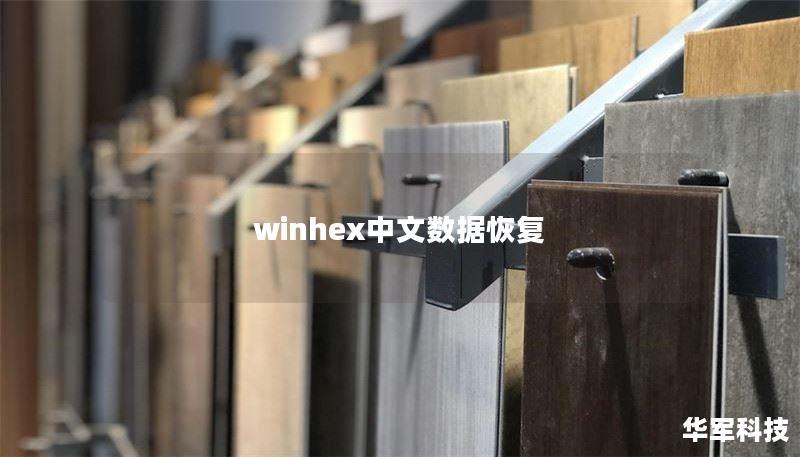 winhex中文数据恢复