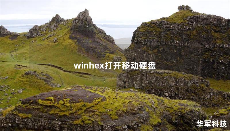 winhex打开移动硬盘