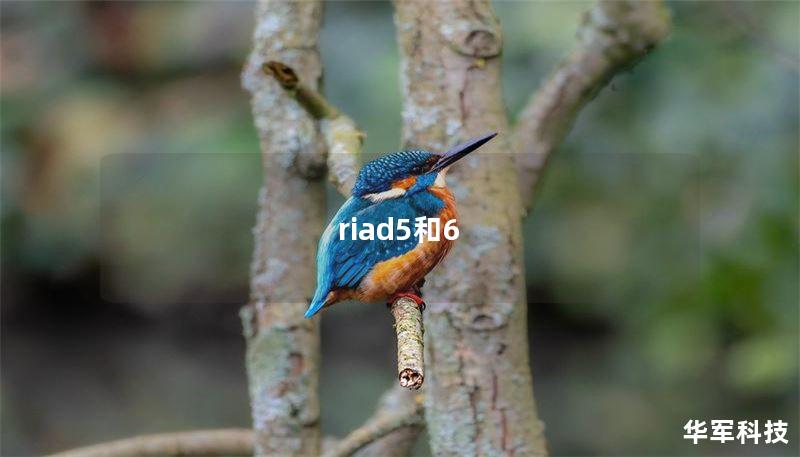 riad5和6