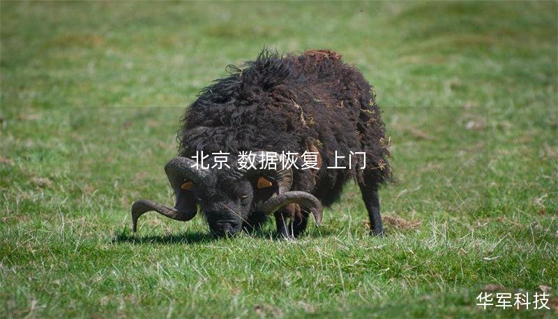 北京 数据恢复 上门