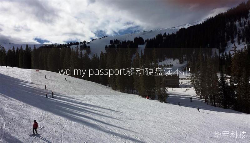 wd my passport移动硬盘读不出