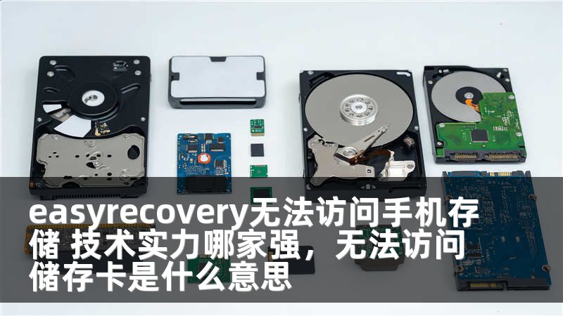 easyrecovery无法访问手机存储 技术实力哪家强，无法访问储存卡是什么意思