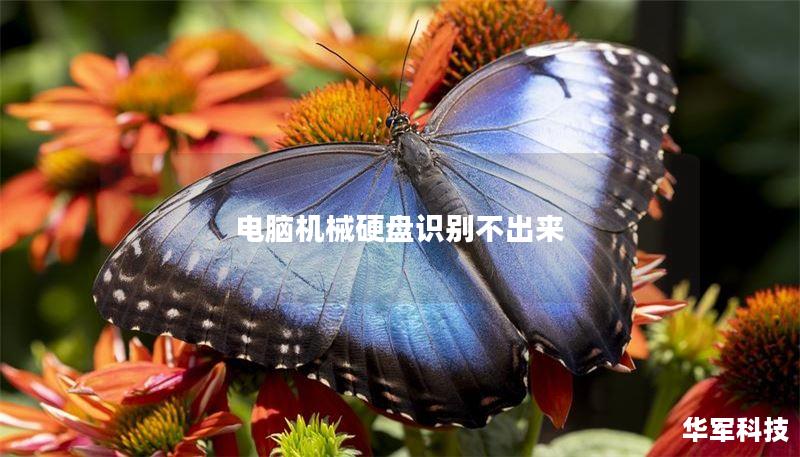 电脑机械硬盘识别不出来
