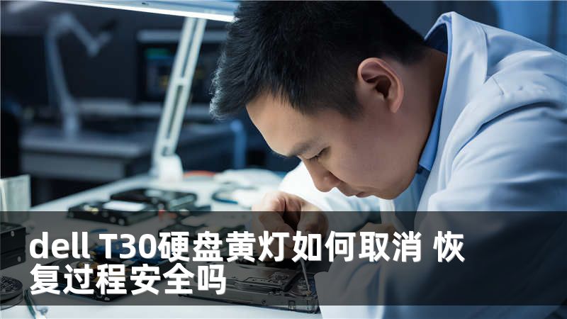 dell T30硬盘黄灯如何取消 恢复过程安全吗