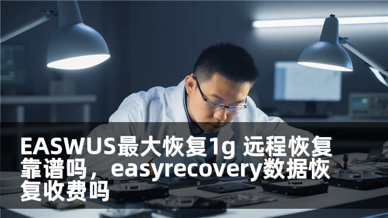 EASWUS最大恢复1g 远程恢复靠谱吗，easyrecovery数据恢复收费吗