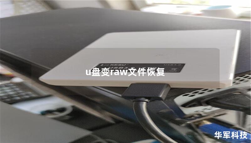 u盘变raw文件恢复