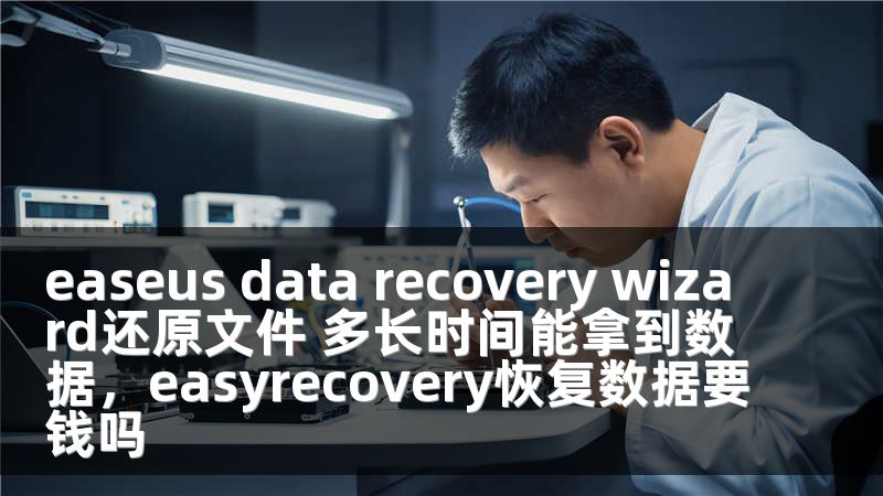 easeus data recovery wizard还原文件 多长时间能拿到数据，easyrecovery恢复数据要钱吗