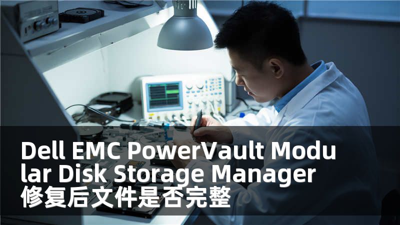 Dell EMC PowerVault Modular Disk Storage Manager 修复后文件是否完整