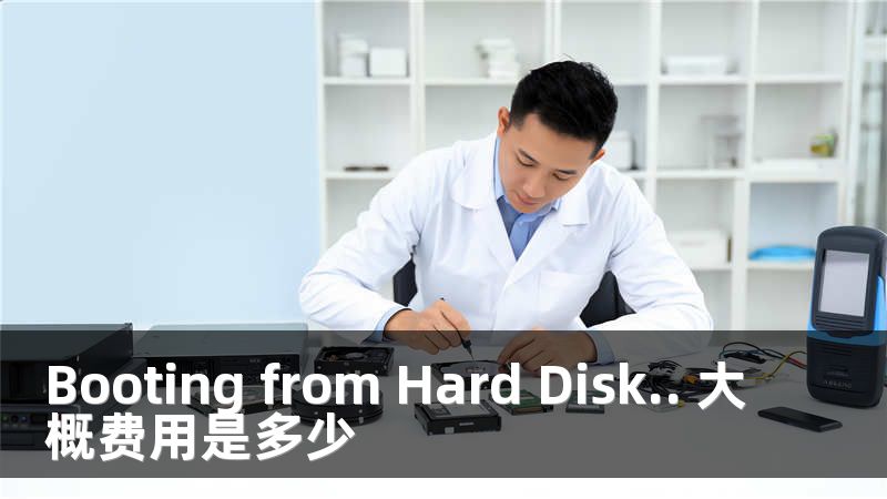 Booting from Hard Disk.. 大概费用是多少