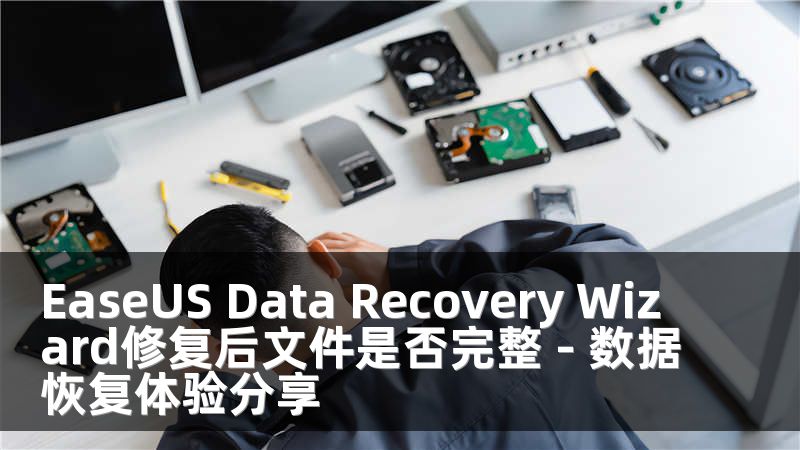 EaseUS Data Recovery Wizard修复后文件是否完整 - 数据恢复体验分享