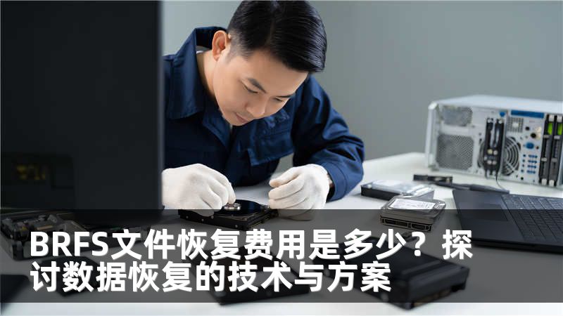 BRFS文件恢复费用是多少？探讨数据恢复的技术与方案