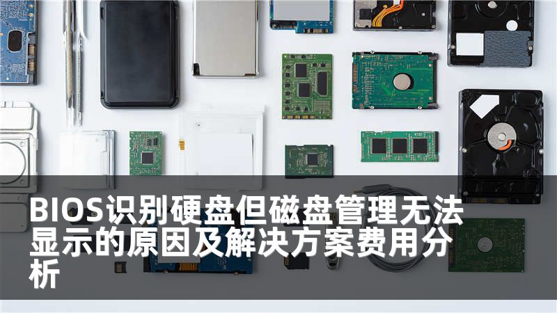 BIOS识别硬盘但磁盘管理无法显示的原因及解决方案费用分析