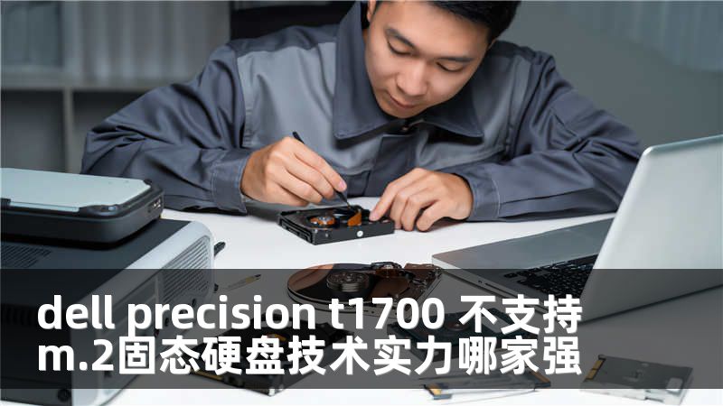 dell precision t1700 不支持m.2固态硬盘技术实力哪家强