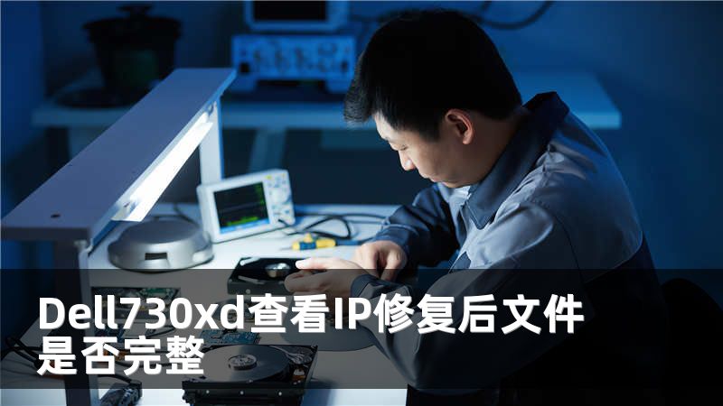 Dell730xd查看IP修复后文件是否完整