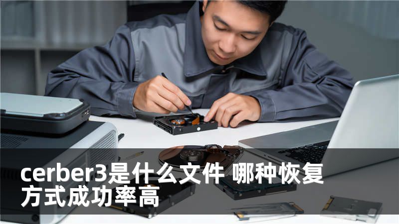 cerber3是什么文件 哪种恢复方式成功率高