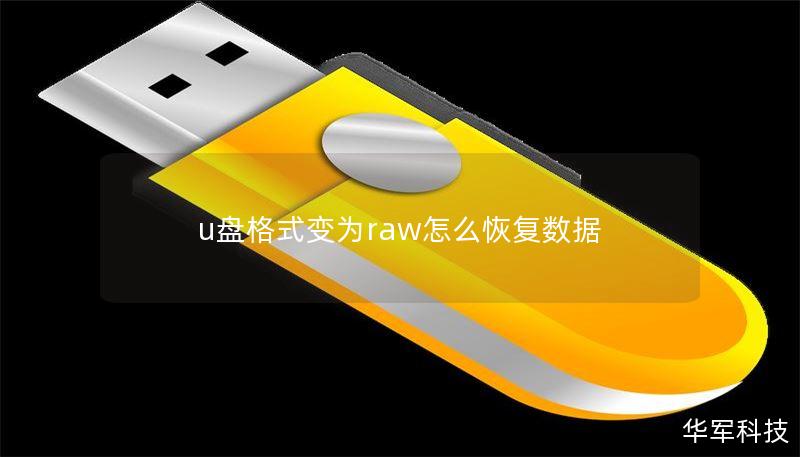 u盘格式变为raw怎么恢复数据