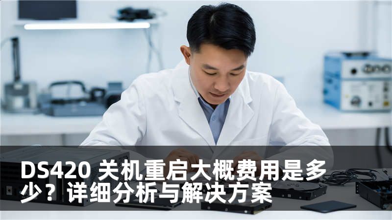 DS420 关机重启大概费用是多少？详细分析与解决方案
