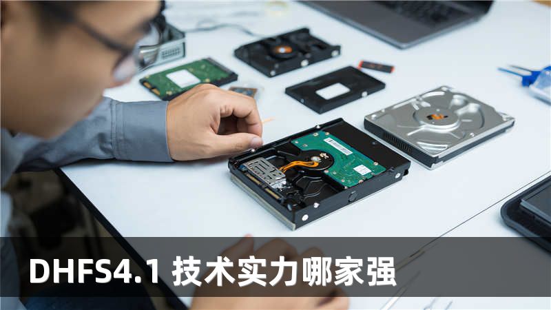DHFS4.1 技术实力哪家强