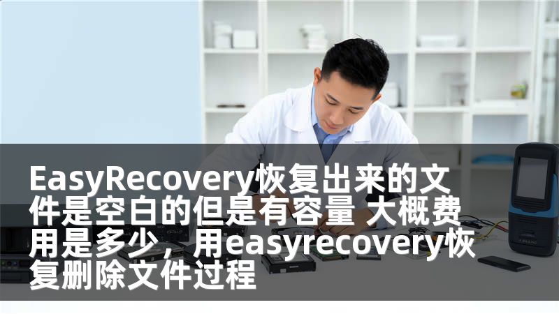 EasyRecovery恢复出来的文件是空白的但是有容量 大概费用是多少，用easyrecovery恢复删除文件过程