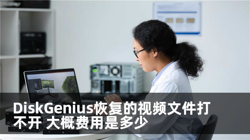 DiskGenius恢复的视频文件打不开 大概费用是多少