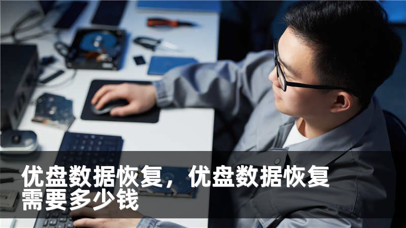 优盘数据恢复，优盘数据恢复需要多少钱