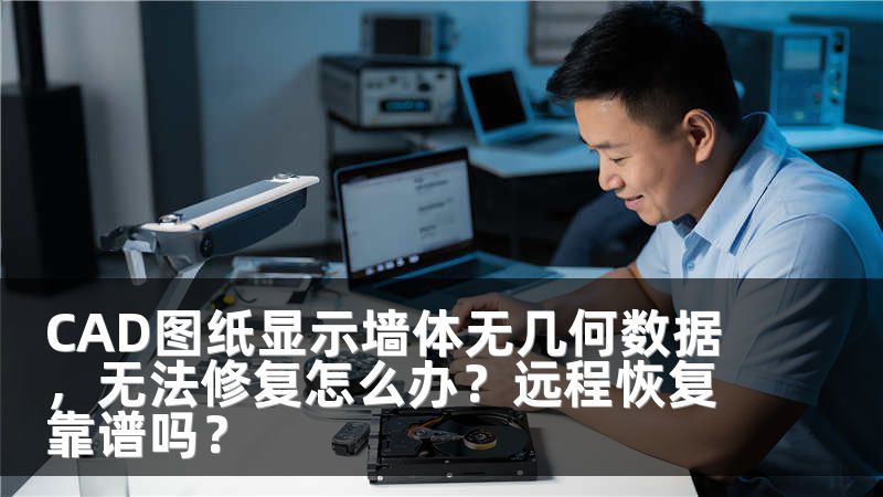 CAD图纸显示墙体无几何数据，无法修复怎么办？远程恢复靠谱吗？