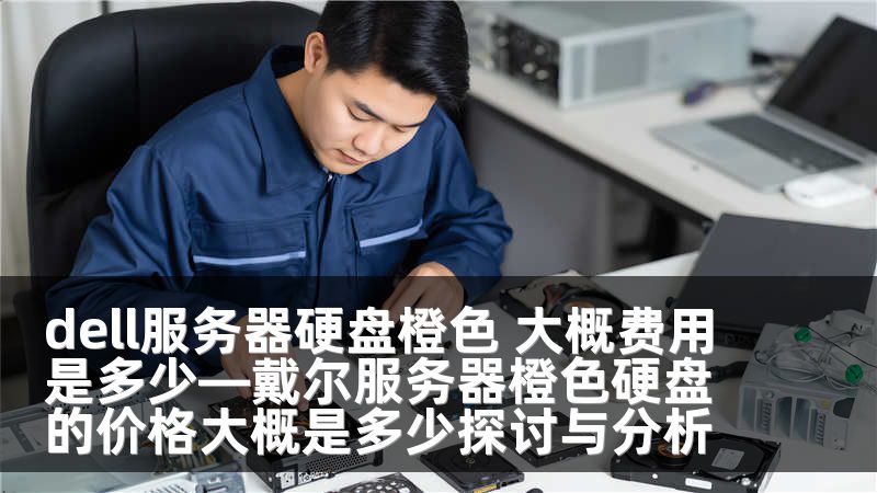 dell服务器硬盘橙色 大概费用是多少—戴尔服务器橙色硬盘的价格大概是多少探讨与分析
