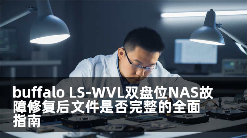 buffalo LS-WVL双盘位NAS故障修复后文件是否完整的全面指南