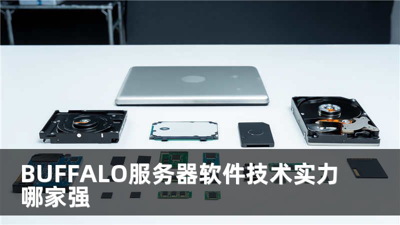 BUFFALO服务器软件技术实力哪家强