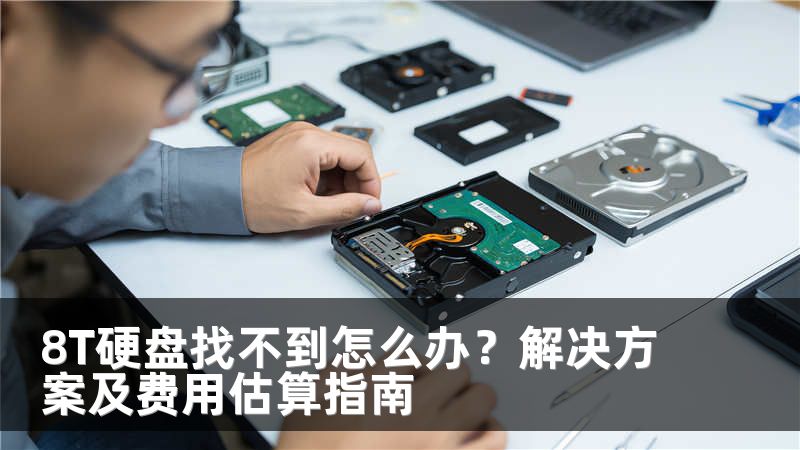 8T硬盘找不到怎么办？解决方案及费用估算指南