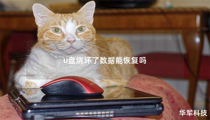u盘烧坏了数据能恢复吗