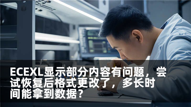 ECEXL显示部分内容有问题，尝试恢复后格式更改了，多长时间能拿到数据？