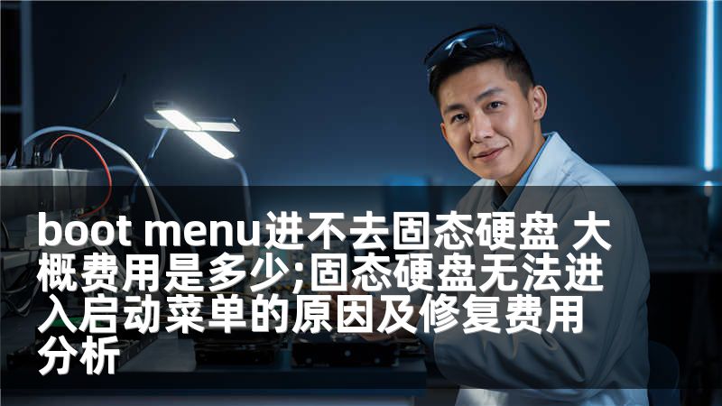 boot menu进不去固态硬盘 大概费用是多少;固态硬盘无法进入启动菜单的原因及修复费用分析