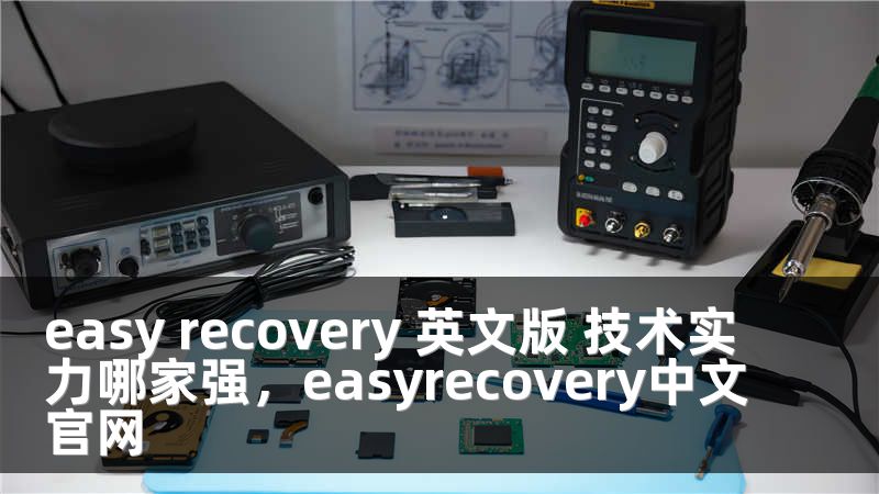 easy recovery 英文版 技术实力哪家强，easyrecovery中文官网